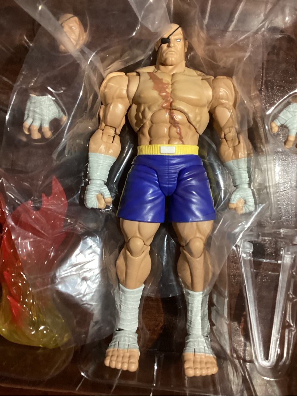 Street Fighter Alpha 3 Sagat Action Figure Sagat Storm Arena - Picture 9 of 16